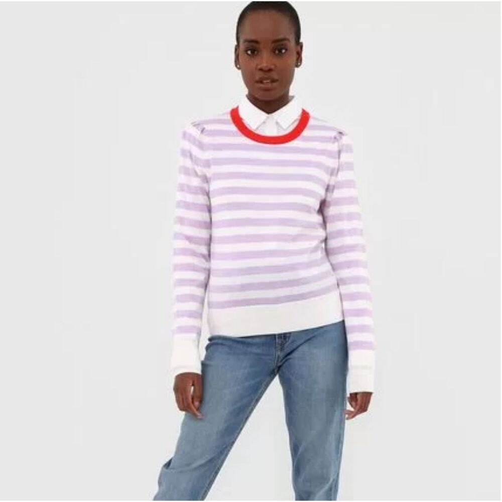 Striped Banana Republic Washable Merino Wool Crewneck Pullover Sweater (NWT)
